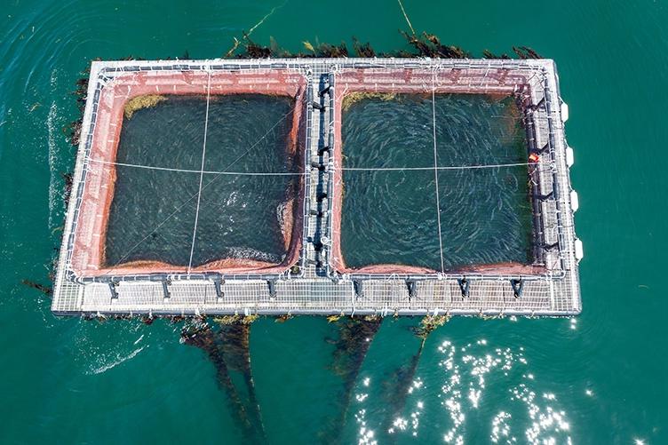 Overhead view of UNH's aquaculture system in the water