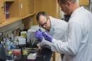 UNH Manchester Creates New Biotechnology Program